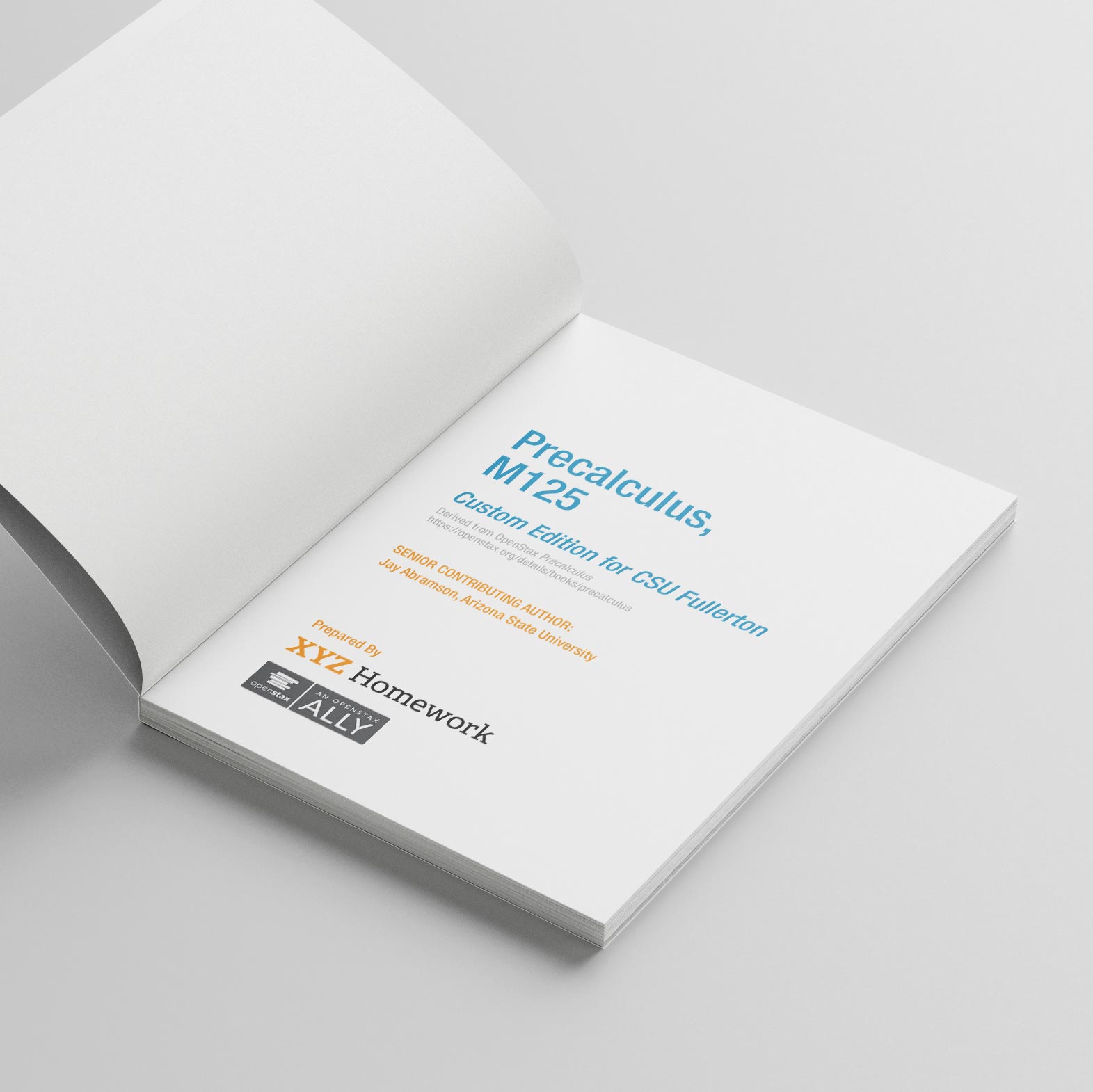 Interior of a Custom Precalc Book